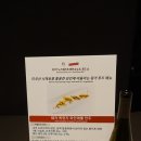 U.S푸드 이미지