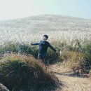 다미정분식 | # 제주도 여행 2일차 후기