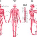 열린가정의원 이미지