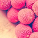 도화한의원 이미지