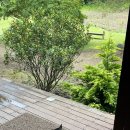 연동민박 이미지