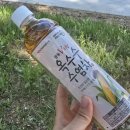 광동페트로 | 광동 v라인 옥수수수염차 내돈내산 후기 영양성분 칼로리