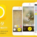 에그애플 이미지