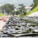 목장풍경민박 이미지