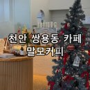 말모커피 천안 쌍용동 나사렛대 디저트 맛집 애견동반 카페 후기