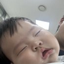 딤타오 - 성북구 동소문로 315 | 부산 서면 삼정타워 팝업 총정리 | 왼그기그·박수식당두루미·토이스토리5 팝업 + 딤타오 딤섬 후기