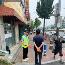솔안초 이미지