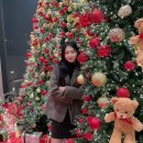 12/11 - 12/17 일기
