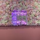 가든노래연습장 이미지