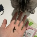 센텀약국 이미지