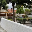 네모커피(Nemo Coffee) 이미지