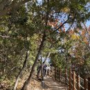 신창손순대국밥 이미지