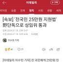 전국민 25만원 민생지원금 이미지