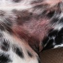 해원 동물병원 이미지