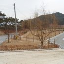 승봉도 캠핑장 이미지