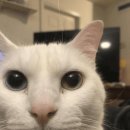 호텔 푸르미르 이미지