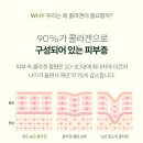 인셀덤인천 - 부평구 경원대로1367번길 15 | 50대 피부 탄력 고민이라면? 인셀덤 퍼밍 멜팅 마스크 직접 써본 후기