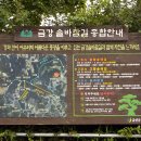 금강솔바람길 | 비추 금산 금강 솔바람길 트레킹 코스