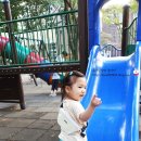 [마롱제이 마켓] 자룡어멈님 애정수신 완료!♥