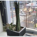 부천네일아트, 제인네일에서 만난 믿음직한 네일 케어 이야기