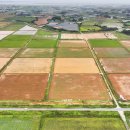 국도23호선가로수 이미지