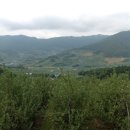 영주농장 이미지