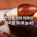 '계피꿀'의 효능 15가지 이미지