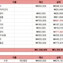 꿈나무아동병원 | 투자금은 늘었지만, 예산도 초과한 7월