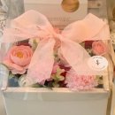 예뜰리에 이미지