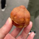 카페단빵 단양본점 네이버블로그