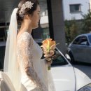스쿨밀 이미지