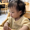 곰셰프네 | 동두천 맛집 곰셰프의 칼국수 만두 최애