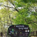 사직공원 유아숲체험원 이미지