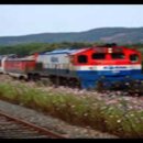 강화자연농원펜션 이미지