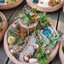 아이와 함께 생활 원예 이미지