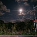 돌담 | 제주 구좌 치킨 맛집 돌담통닭 세화 포장 후기