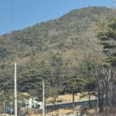 울산 언양 카페 힐링하기 좋은 숲속뷰카페 파인포레스트