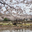 국원고등학교 이미지