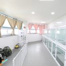 도담애견 이미지