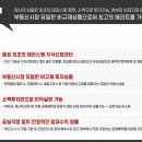 스타플렉스 이미지