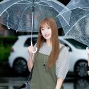 다니다니 이미지