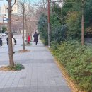 [장산 대천로 가는길에 있는 까페 ]밀유(●●●)