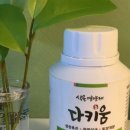 친환경 식물키움