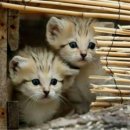 친구야놀자 이미지