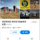 워킹앤워킹 애견유치원&애견호텔 이미지
