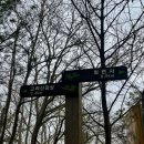 청련사 | 강화도 고려산 진달래축제 주차, 2코스 청련사 방향 등산 후기 (1코스 백련사 코스와 난이도 비교)