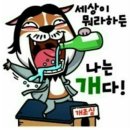 댕이랑 이미지