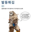 모아모