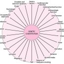 약물내기 스테이 이미지