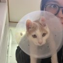 굽네치킨고창점 | 9월 끗~~ 10월 시작 !